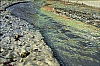 Barfleur-juin2013-15.jpg