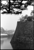 J11-05-36.jpg