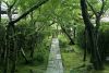 JardinRyoanji07.jpg