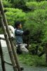 JardinRyoanji14.jpg