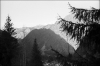 Lauvitel-2.jpg