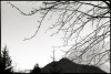 Lauvitel-3.jpg
