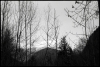 Lauvitel-4.jpg