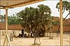 Niger_2017_02_23_visite_hopital-141-PIR.jpg
