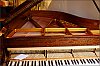 Pleyel_2018-03-23_13.jpg