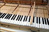 Pleyel_2018-04-03_1.jpg