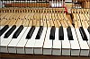 Pleyel_2018-04-07_26.jpg