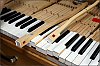 Pleyel_2018-04-07_62.jpg