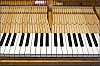 Pleyel_2018-04-07_74.jpg