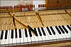 Pleyel_2018-04-12_07.jpg