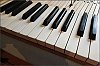 Pleyel_2018-05-02_05.jpg