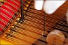 Pleyel_2018-05-11_08.jpg