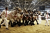 Salon-Agri-Coi-55.jpg