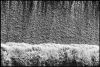 Tarn-Gaillac-01b.jpg