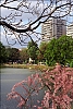 Ueno-sur-Seine.jpg