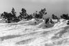 Ventoux-n01.jpg