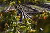 banlieue-delaisses-02.jpg