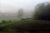 brouillard.jpg