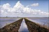 camargue-3.jpg