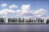 camargue-5.jpg