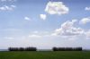 camargue-6.jpg