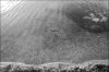 camargue-eaucalme-01.jpg