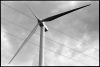 camargue-eolienne-2.jpg