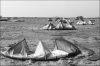 camargue-plage-01.jpg