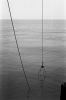 carrelets6.jpg