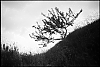 chambon-03-10.jpg