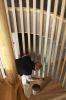 escalier-45.jpg