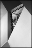 escaliermoche.jpg