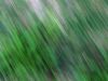 furtif-herbe.jpg