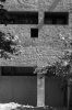 grillon-00.jpg