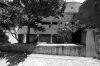 grillon-02.jpg