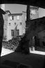 grillon-04.jpg