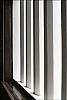 himeji-A-34.jpg