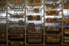 hopital_coulisse-04.jpg