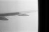 kim-avion-1.jpg