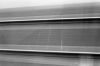 kim-tgv1-4.jpg