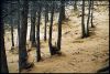 meije-diagonale-1.jpg
