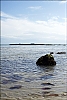 mer-01.jpg