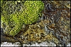 microp-eau2.jpg
