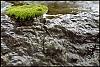 microp-eau3.jpg
