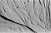 microp-houel1.jpg