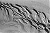 microp-houel2.jpg