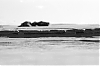 microp-houel3.jpg