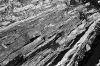 micropaysage5.jpg