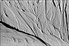microplage1.jpg