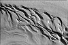microplage2.jpg